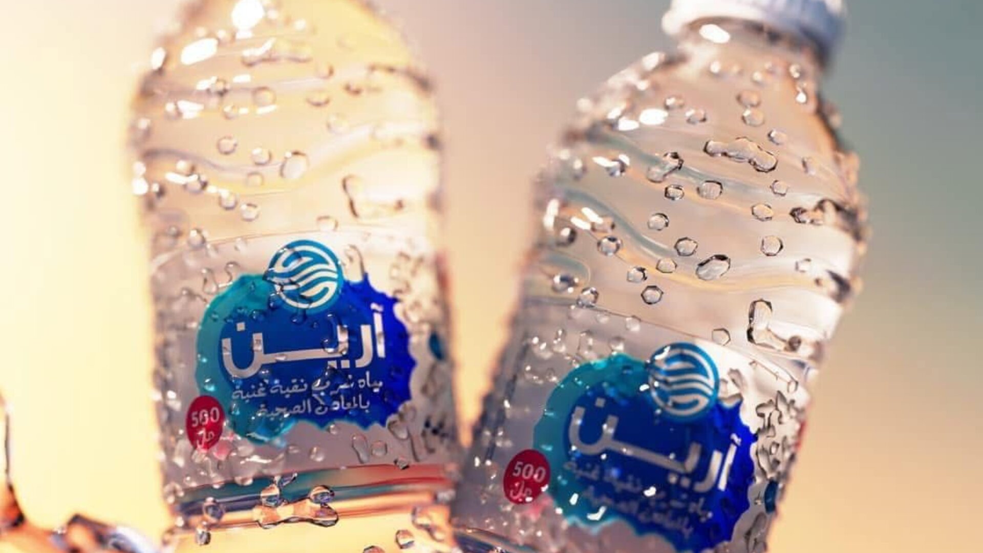 مصنع آرين - مراحل المعالجة